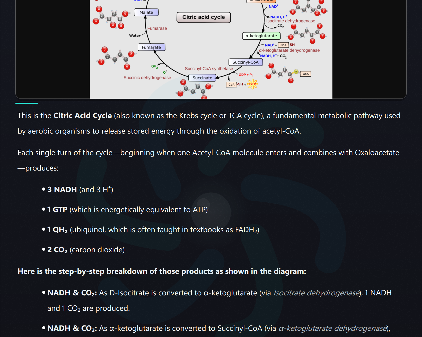 Snapi explaining the Krebs cycle — the citric acid cycle diagram with a clear answer of what each turn produces (3 NADH, 1 GTP, 1 QH₂, 2 CO₂)