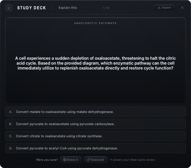 A Snapi study-deck multiple-choice question on the anaplerotic pathways of the citric acid cycle
